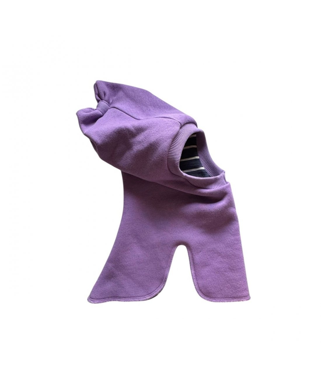 Violetinnis žieminis šalmukas